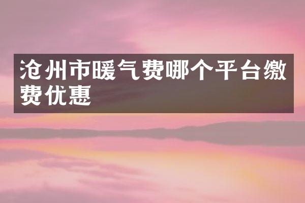 沧州市暖气费哪个平台缴费优惠