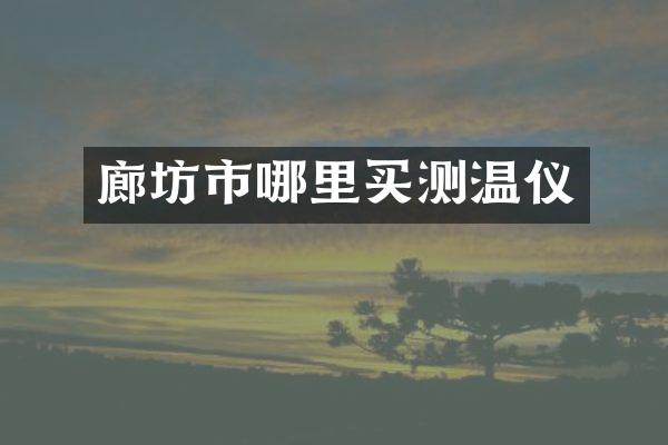 廊坊市哪里买测温仪
