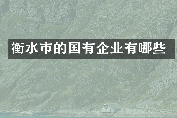 衡水市的国有企业有哪些