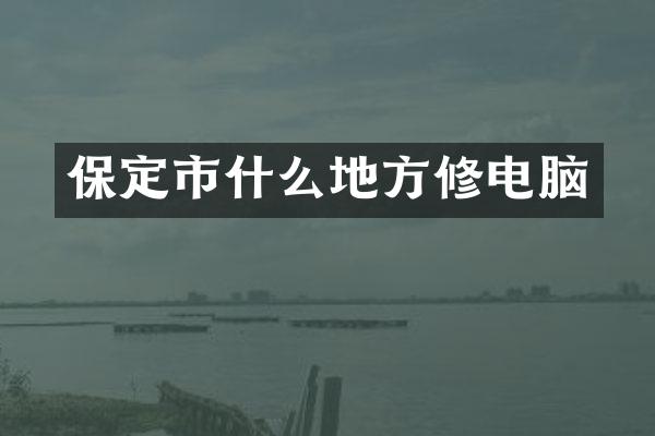 保定市什么地方修电脑