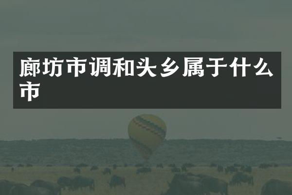 廊坊市调和头乡属于什么市