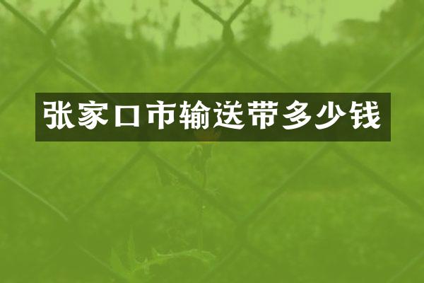 张家口市输送带多少钱