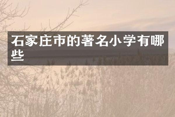 石家庄市的著名小学有哪些