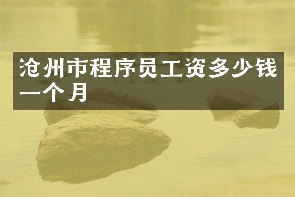 沧州市程序员工资多少钱一个月