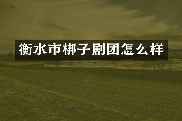 衡水市梆子剧团怎么样