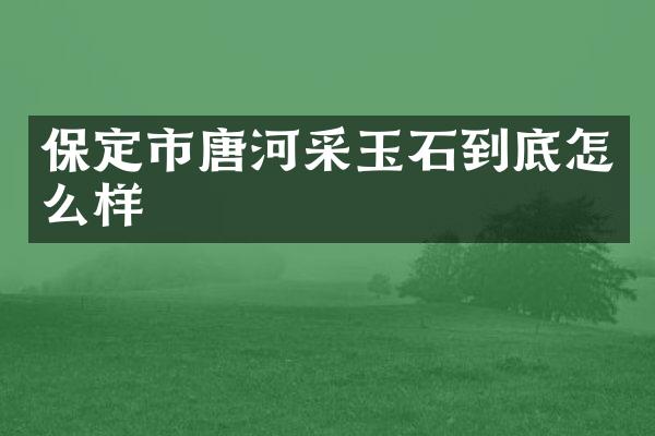 保定市唐河采玉石到底怎么样