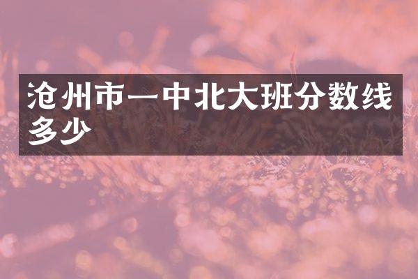 沧州市一中北大班分数线多少