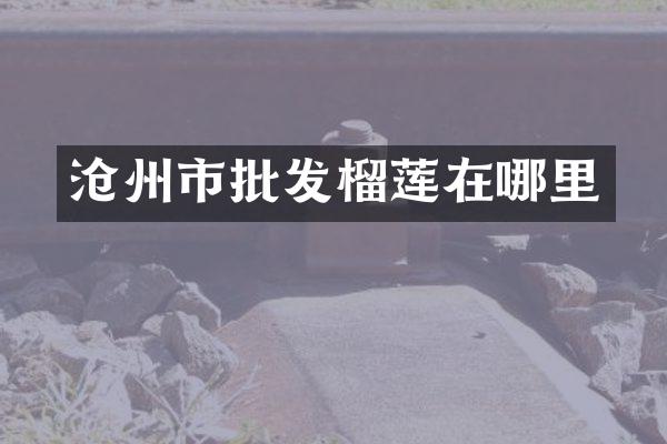 沧州市批发榴莲在哪里