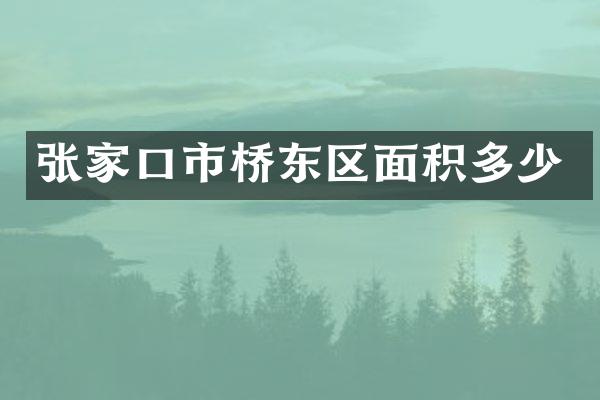 张家口市桥东区面积多少