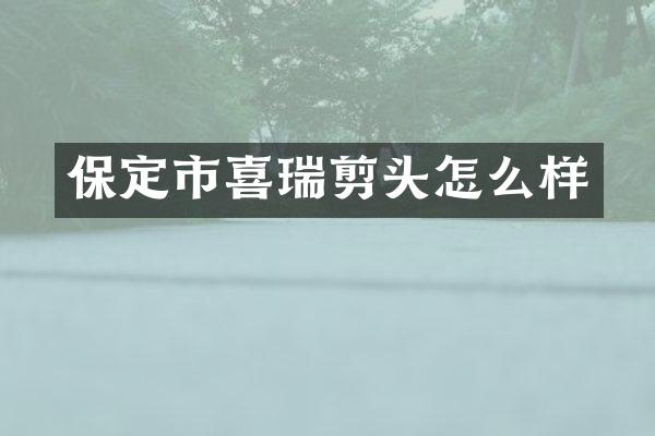 保定市喜瑞剪头怎么样