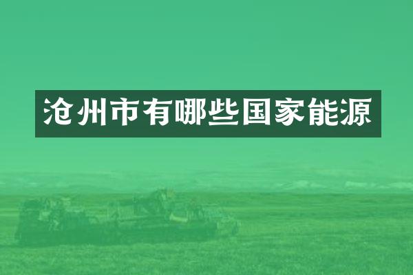 沧州市有哪些国家能源