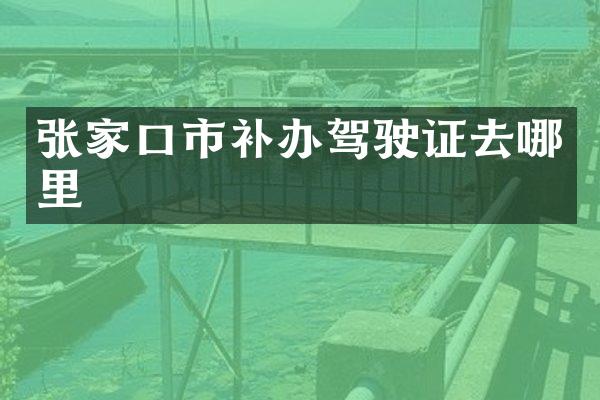 张家口市补办驾驶证去哪里
