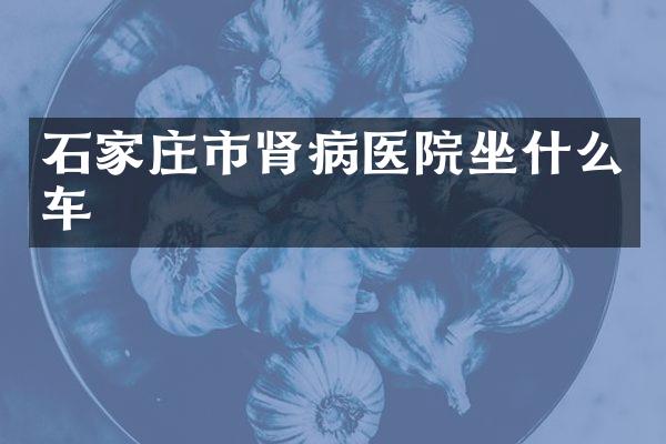 石家庄市肾病医院坐什么车