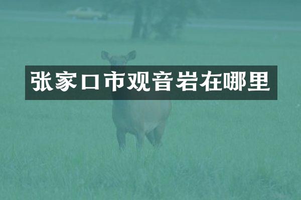 张家口市观音岩在哪里