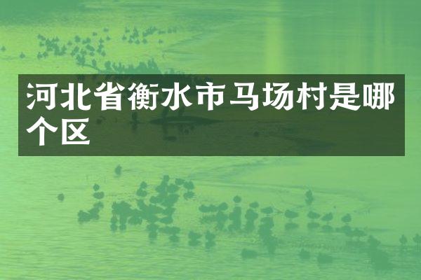河北省衡水市马场村是哪个区
