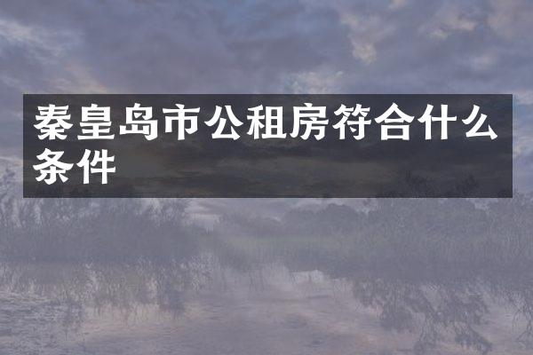 秦皇岛市公租房符合什么条件