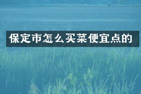 保定市怎么买菜便宜点的
