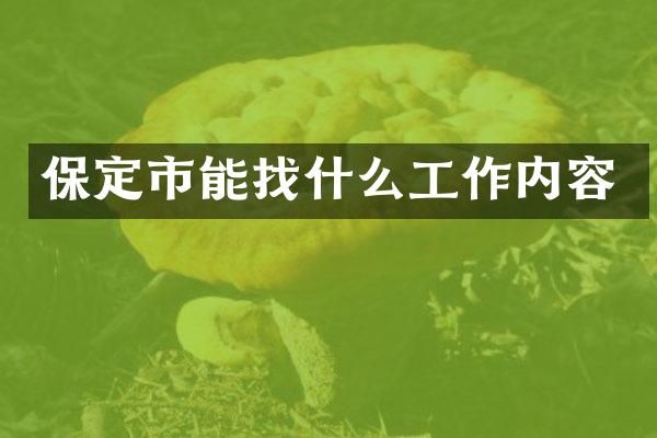 保定市能找什么工作内容