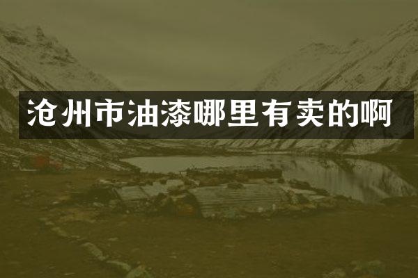 沧州市油漆哪里有卖的啊
