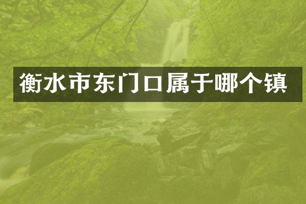 衡水市东门口属于哪个镇