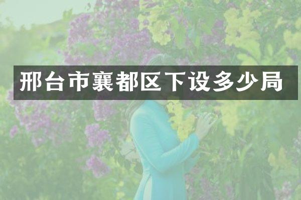邢台市襄都区下设多少局