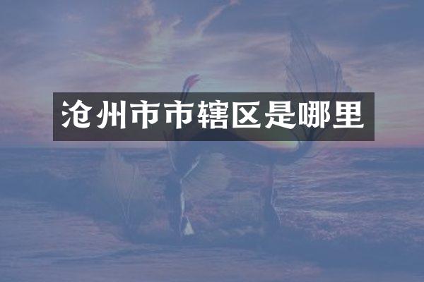 沧州市市辖区是哪里