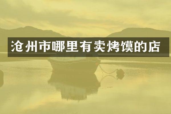 沧州市哪里有卖烤馍的店