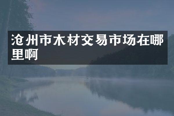 沧州市木材交易市场在哪里啊