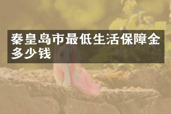 秦皇岛市最低生活保障金多少钱