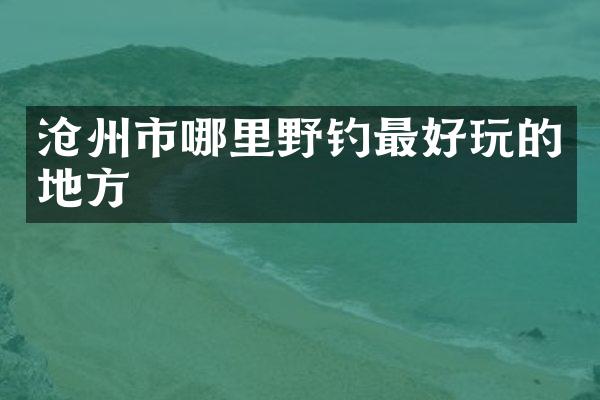 沧州市哪里野钓最好玩的地方