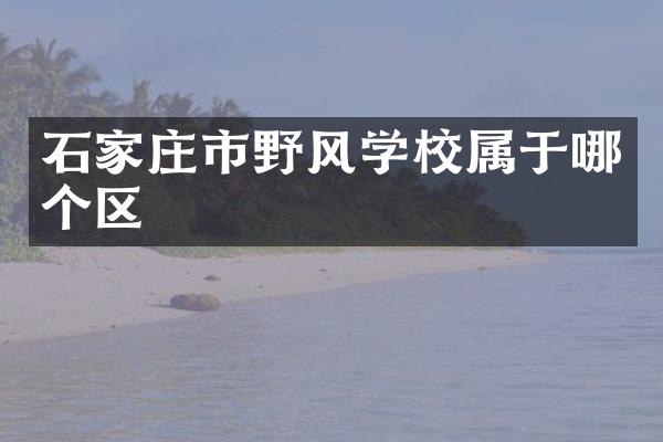石家庄市野风学校属于哪个区