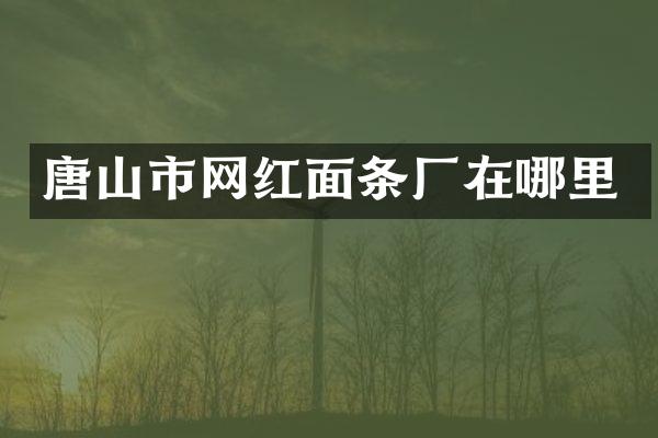 唐山市网红面条厂在哪里