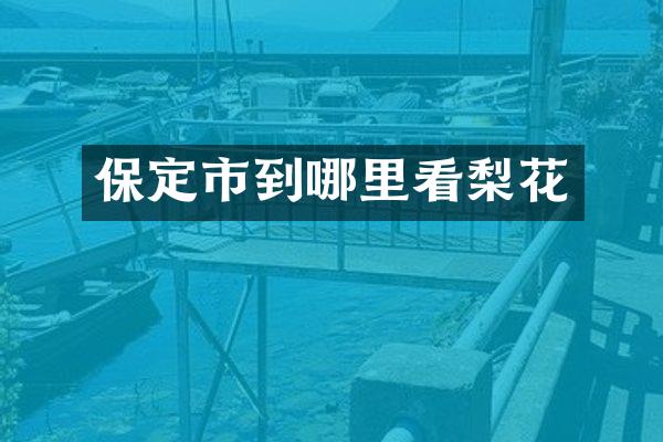 保定市到哪里看梨花