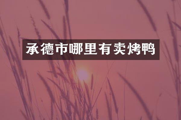 承德市哪里有卖烤鸭