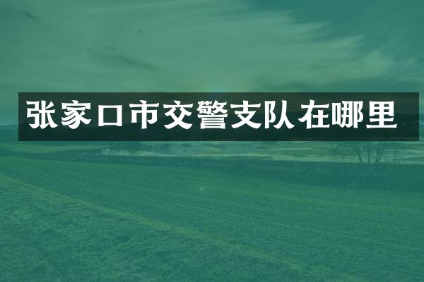 张家口市交警支队在哪里