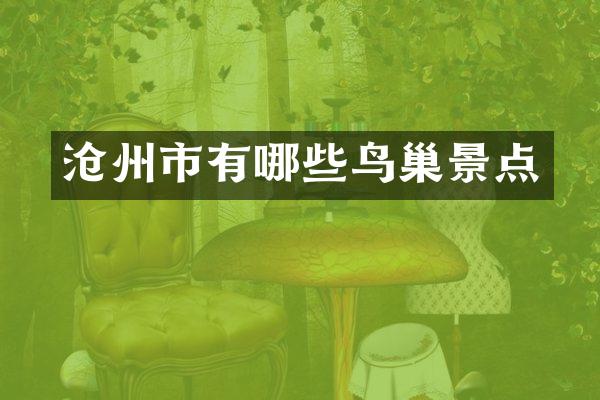 沧州市有哪些鸟巢景点