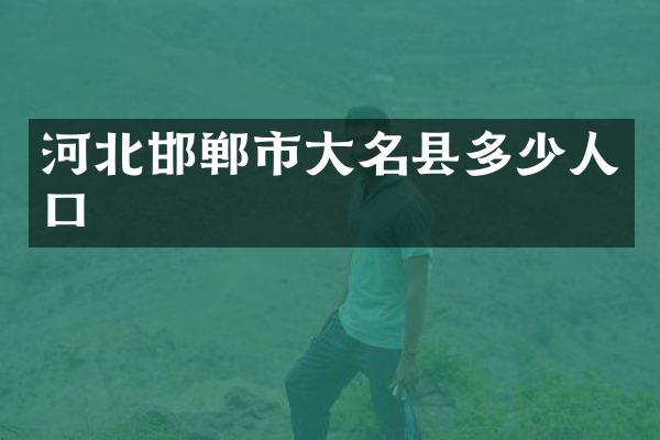 河北邯郸市大名县多少人口