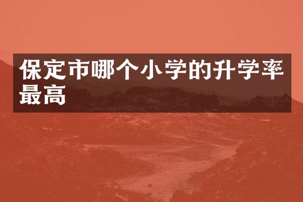 保定市哪个小学的升学率最高