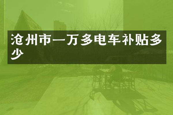 沧州市一万多电车补贴多少