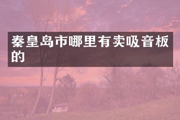 秦皇岛市哪里有卖吸音板的