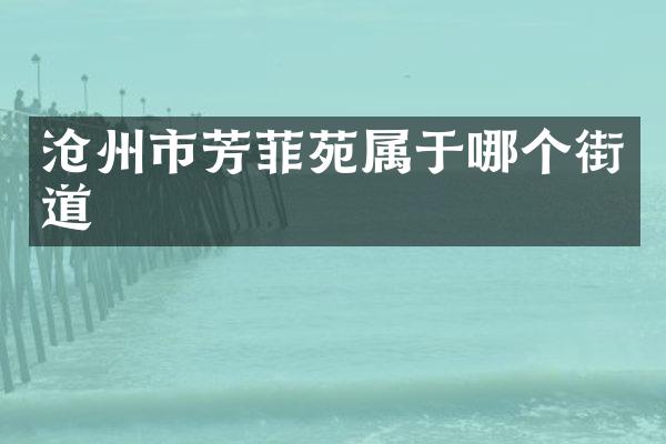 沧州市芳菲苑属于哪个街道