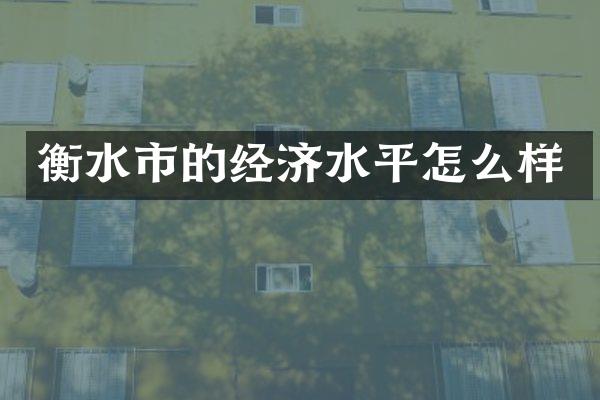 衡水市的经济水平怎么样