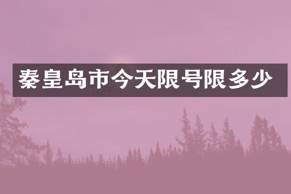 秦皇岛市今天限号限多少