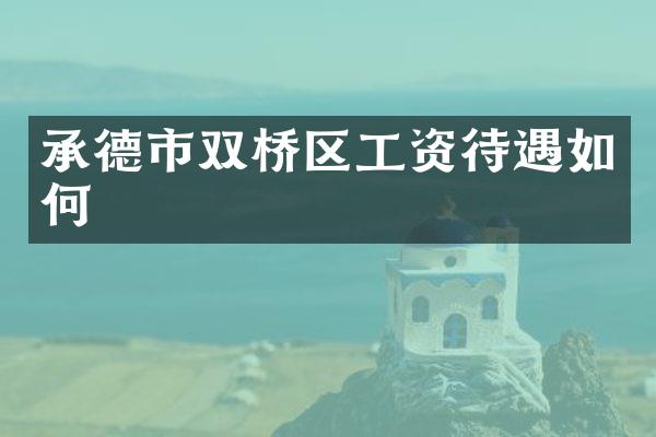 承德市双桥区工资待遇如何