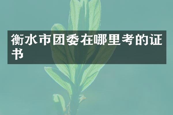 衡水市团委在哪里考的证书