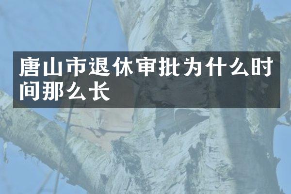 唐山市退休审批为什么时间那么长