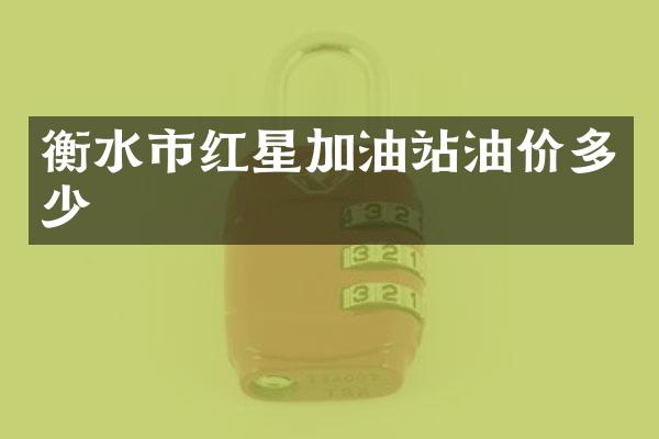 衡水市红星加油站油价多少