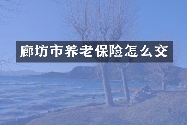 廊坊市养老保险怎么交