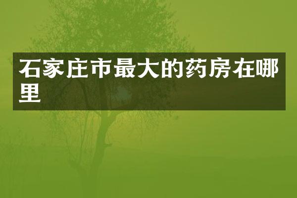 石家庄市最大的药房在哪里