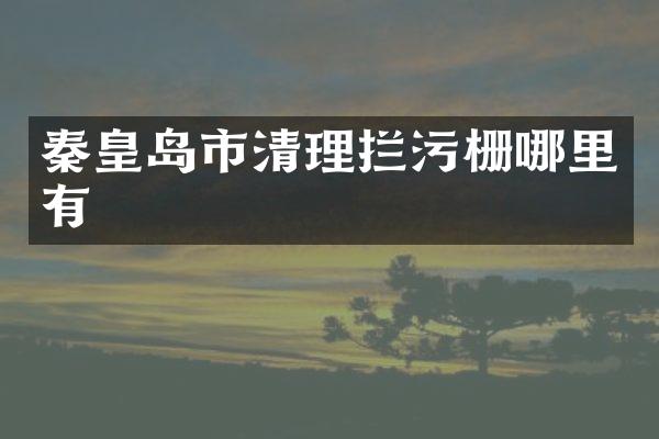 秦皇岛市清理拦污栅哪里有